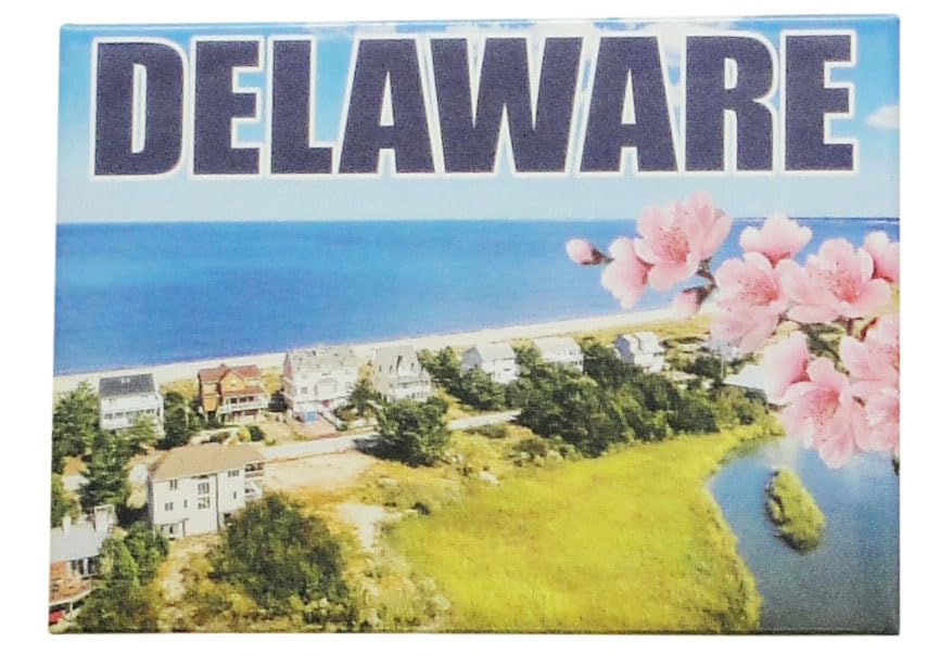 Delaware Photo Coastal Skyline Magnet, Decorative Magnet for Fridge