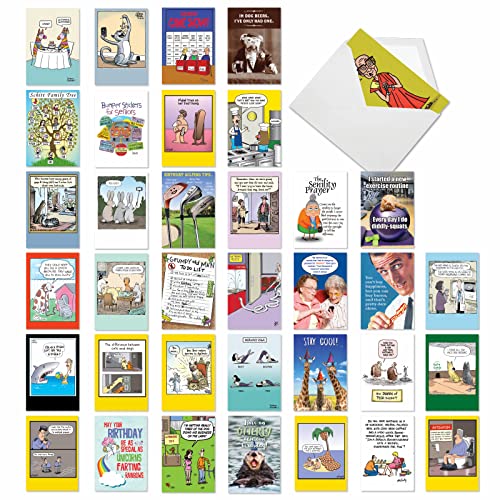 NobleWorks - Variety Pack of 36 Assorted Funny Birthday Greeting Cards Bulk Box Set w/Envelopes, Edgy Adult Humor BDay Pack for Men, Women, Friend - Birthday Favorites Collection AC2911BDG-B1x36