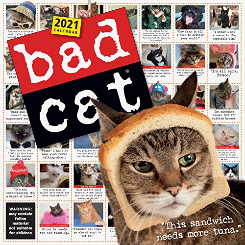 10 Funny Cat Calendar 2021