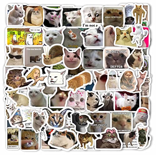BulbaCraft 100Pcs Cat Meme Stickers - Funny Cat Stickers, Crying Cat Meme, Sad Cat Meme, Meme Cat, Cat Memes Gifts, Grumpy Cat Memes, Cat Funny Gifts, Cat Lover Gift for Women, Cat Meme Mug